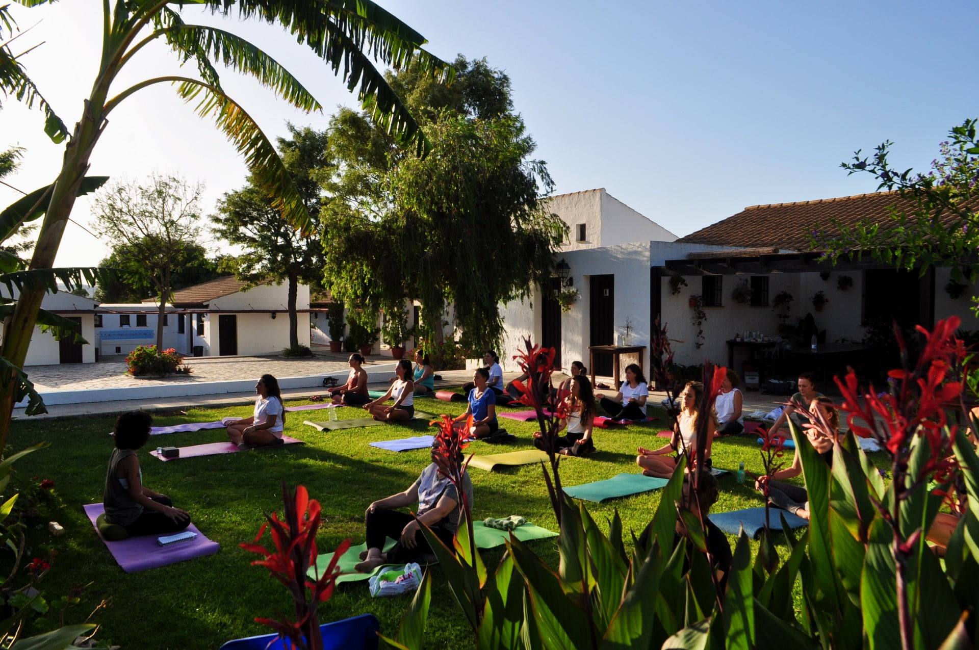 Copia de enviroment and activity